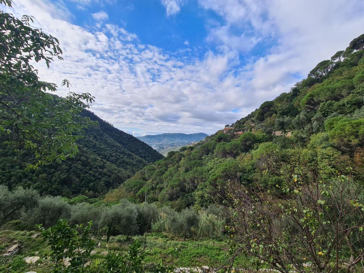 Castrusso Il Frantoio Di Rapallo By Portofinovacanze Kültér fotó
