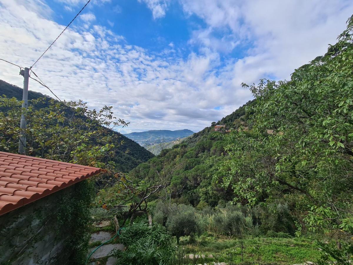 Castrusso Il Frantoio Di Rapallo By Portofinovacanze Kültér fotó