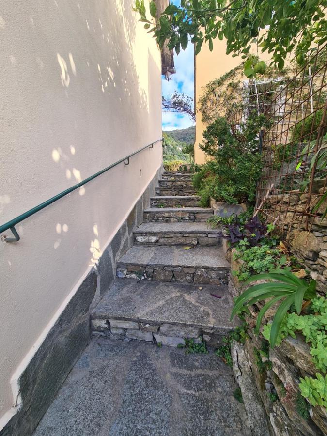 Castrusso Il Frantoio Di Rapallo By Portofinovacanze Kültér fotó